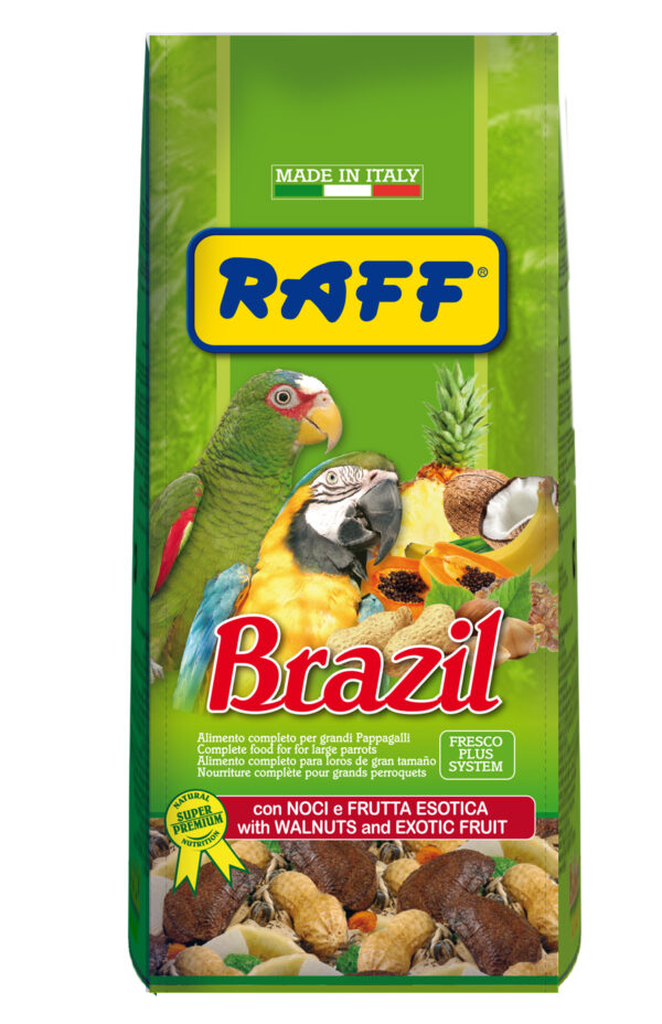 RAFF Brazil