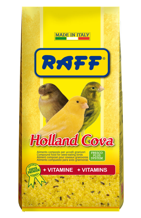 RAFF Holland Cova
