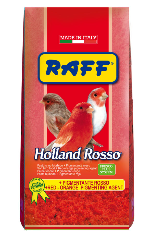 RAFF Holland Rosso