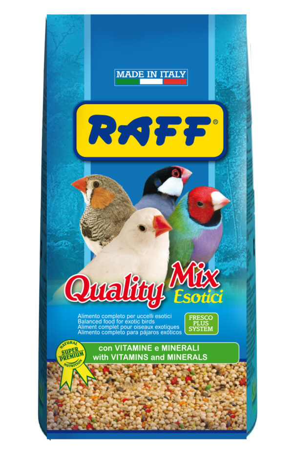 RAFF Quality Mix Esotici