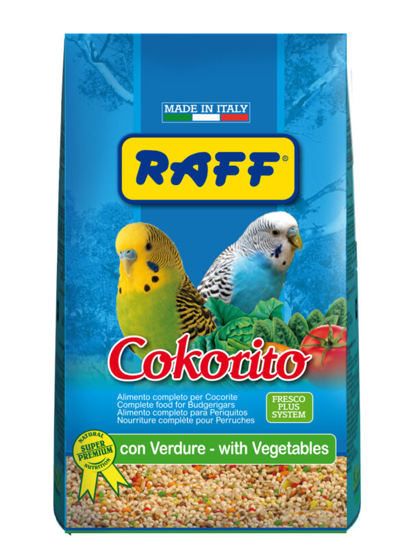 RAFF Cokorito