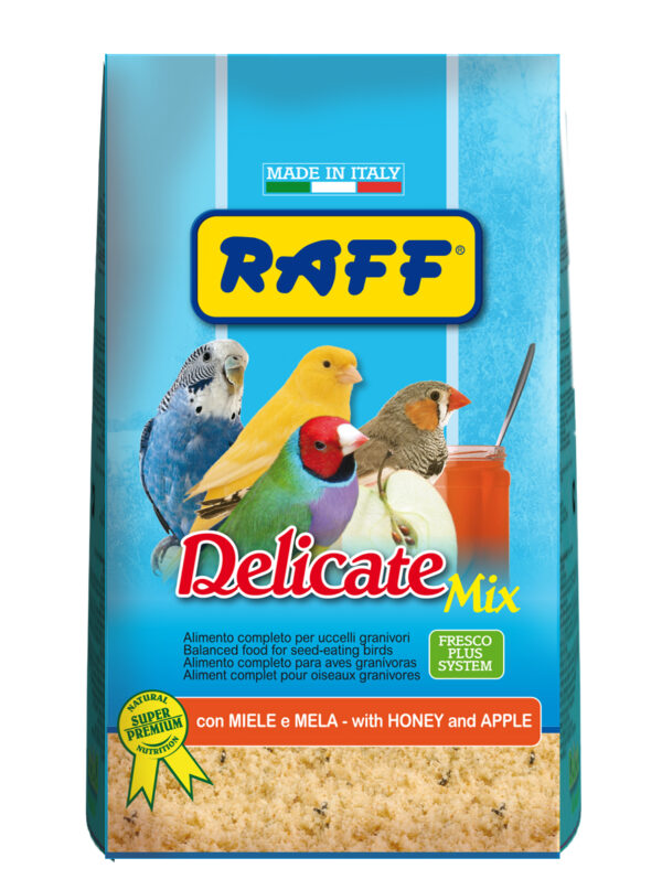 Dado Dog Adult Chicken and Rice - 2 Kg (1+ years). (Copia) (Copia) (Copia) (Copia) (Copia) (Copia) (Copia) (Copia) (Copia) (Copia)
