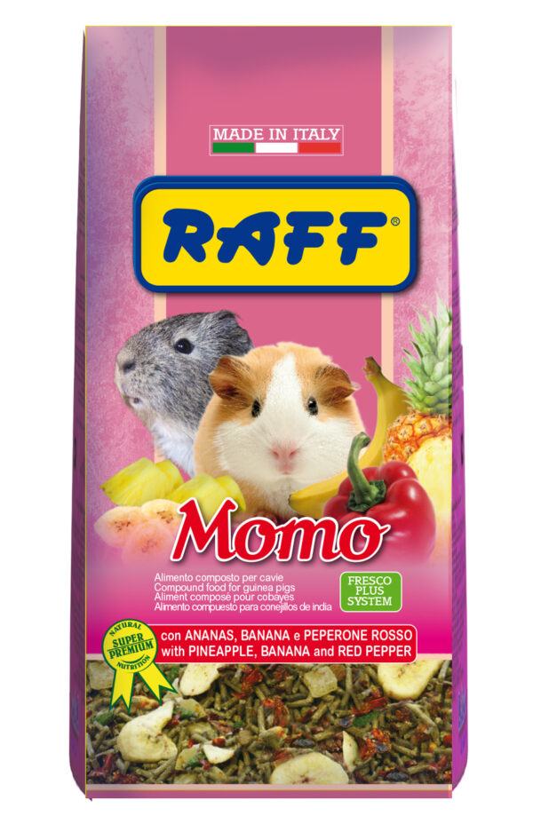 RAFF Momo