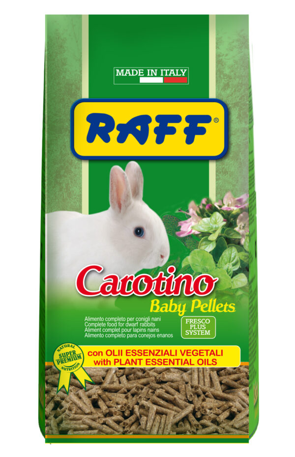 Dado Dog Adult Chicken and Rice - 2 Kg (1+ years). (Copia) (Copia) (Copia) (Copia) (Copia) (Copia) (Copia) (Copia) (Copia) (Copia) (Copia) (Copia) (Copia) (Copia) (Copia) (Copia) (Copia) (Copia) (Copia)