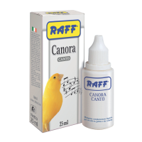 CANORA CANTO