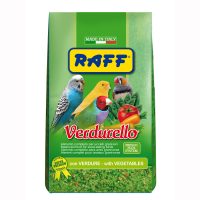 RAFF 2017 BOZZA copia