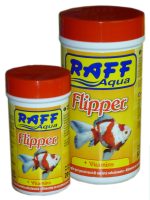 RAFF 2017 BOZZA copia