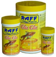 RAFF 2017 BOZZA copia