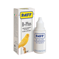 RAFF B PLUS