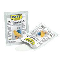 RAFF PROF TRANSIVIT