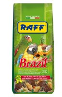 RAFF 2017 BOZZA copia