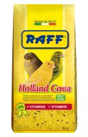 RAFF 2017 BOZZA copia