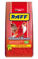 RAFF 2017 BOZZA copia