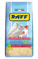 RAFF 2017 BOZZA copia