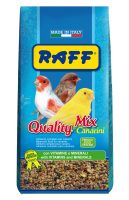RAFF 2017 BOZZA copia