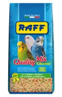 RAFF 2017 BOZZA copia
