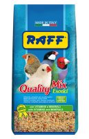 RAFF 2017 BOZZA copia