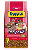 RAFF 2017 BOZZA copia