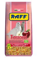 RAFF 2017 BOZZA copia