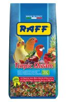 RAFF 2017 BOZZA copia