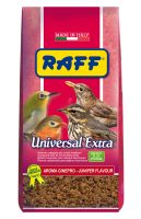 RAFF 2017 BOZZA copia