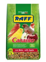 RAFF 2017 BOZZA copia