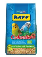 RAFF 2017 BOZZA copia