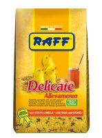 RAFF 2017 BOZZA copia