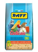 RAFF 2017 BOZZA copia