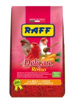 RAFF 2017 BOZZA copia