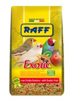 RAFF 2017 BOZZA copia