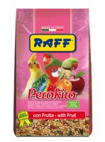 RAFF 2017 BOZZA copia