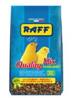 RAFF 2017 BOZZA copia