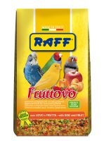 RAFF 2017 BOZZA copia