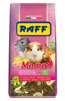 RAFF 2017 BOZZA copia