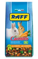 RAFF 2017 BOZZA copia