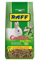 RAFF 2017 BOZZA copia