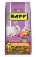RAFF 2017 BOZZA copia