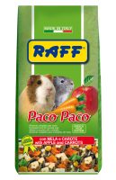 RAFF 2017 BOZZA copia