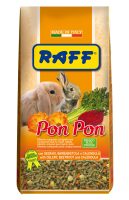RAFF 2017 BOZZA copia