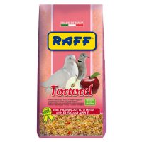 TORTOREL