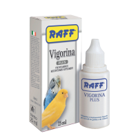 VIGORINA PLUS